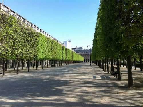 MARATONA DI PARIGI  2014